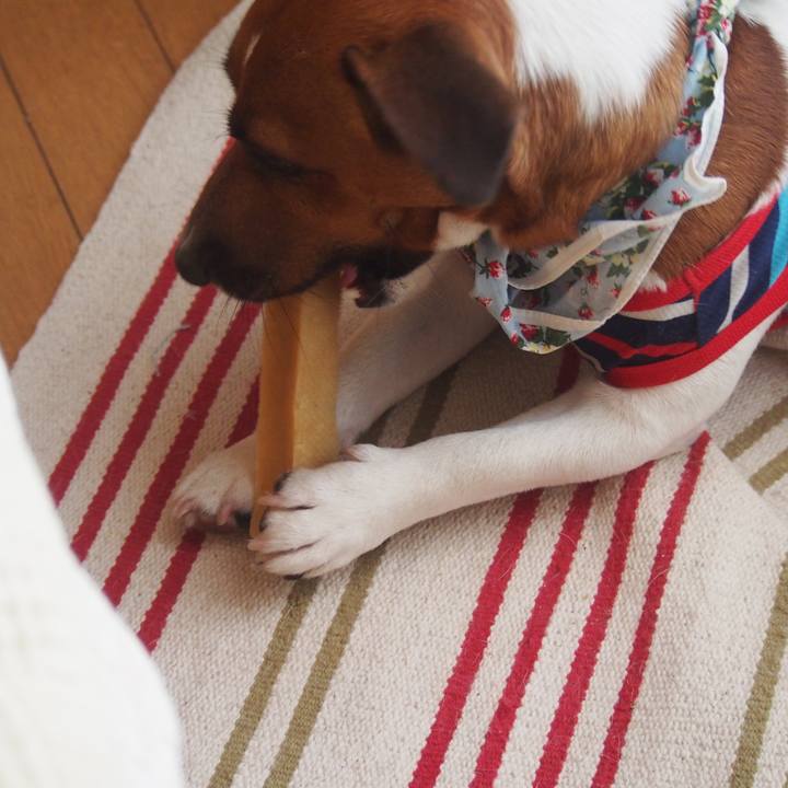 8c1b0221 2b00 4f18 99fb 8681a47630e5