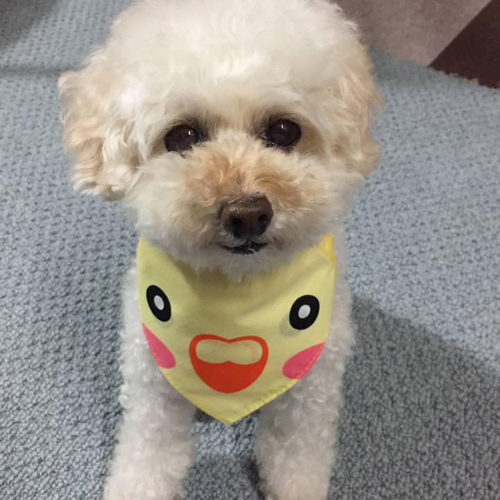 8c1b15d8 03f1 4b40 8730 88ded3114237