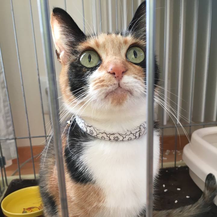 8c1b5399 582d 4cff a6da 50d721d1a5d5