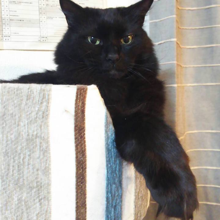 8c1b6c57 9802 4d29 b858 0b39c303a913