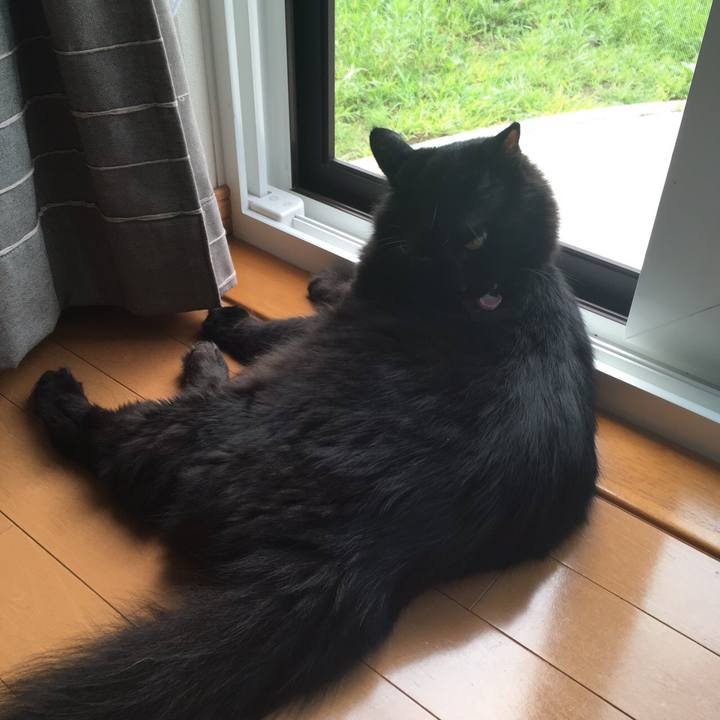 8c1b966a 372f 4752 b2ee 07b145774a00