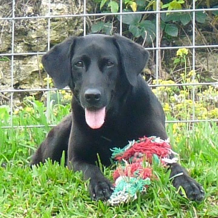 8c1bb25a 9bef 467d 8201 3366fe81e901