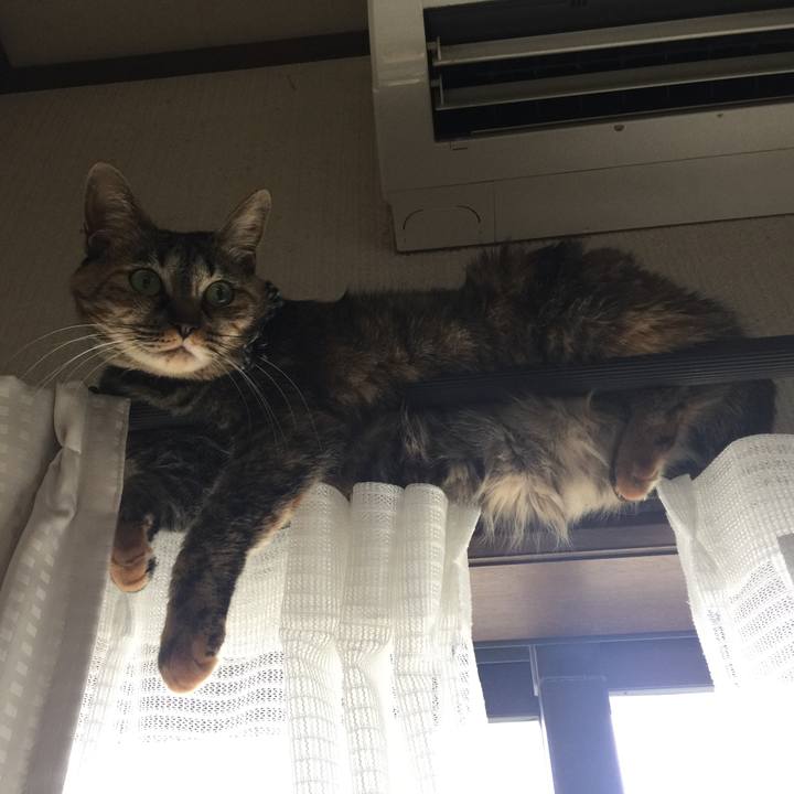 8c1bc733 9fd4 4d9b 8fef e1481a049e34