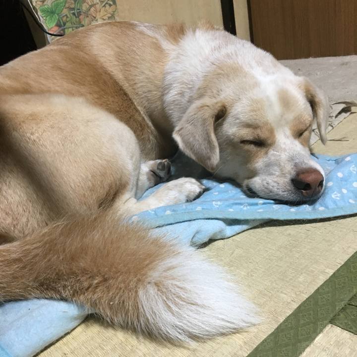 8c1bdf68 31ba 424b b256 2ca2c6b5a2f3