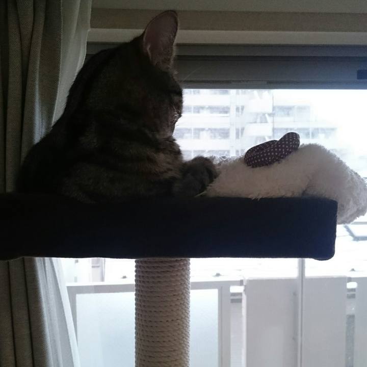 8c1c4cbd b62e 4511 9bb2 383d1ade67bd