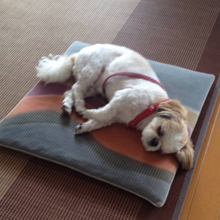 8c1cbc06 daa8 4a45 b5ea 75220868524a