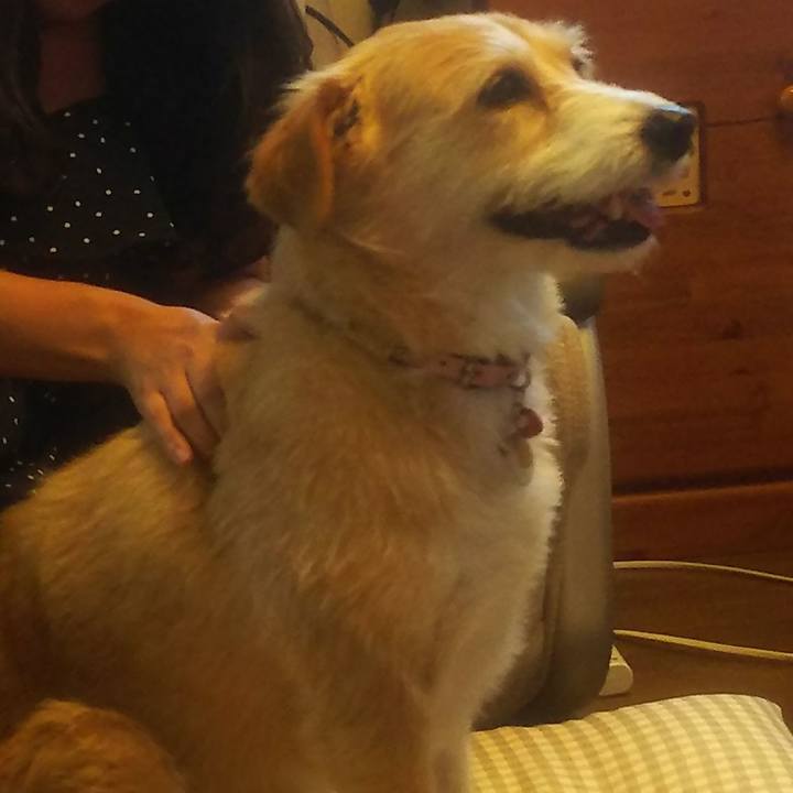 8c1cc8f3 46bd 4ba8 84ff b210724361a9