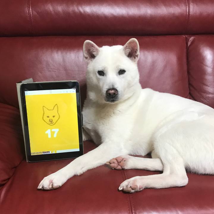 8c1d9bbc 6583 4cda 9af2 e2a778558f04