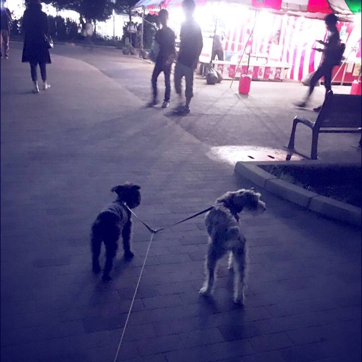 8c1dcdbd b9df 4528 8cf8 fda3cadf1321