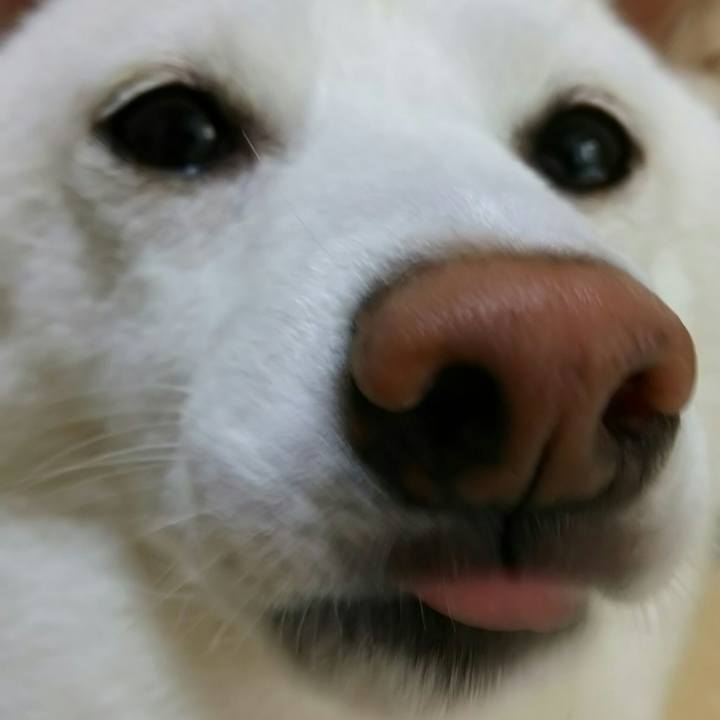 8c1df7f0 e16d 4e1c 9593 22a0ffe80152