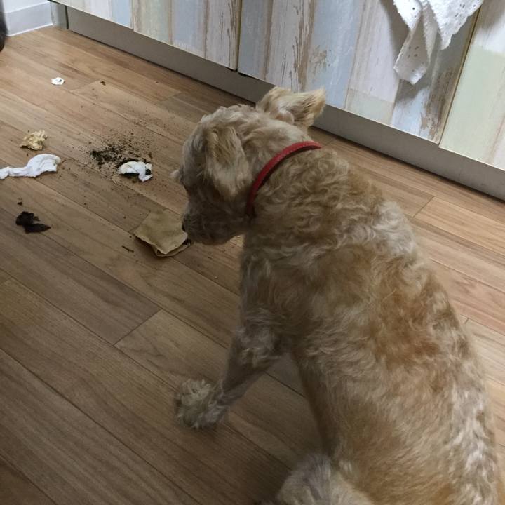 8c1e17ac aed0 4a9a 87f5 5bd299ba7789