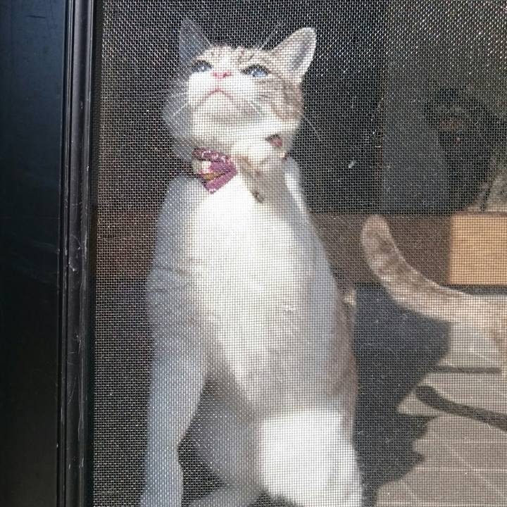 8c1ec244 2d65 4630 a89b 0fdfa59f8e98