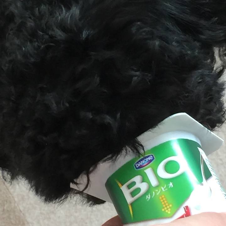 8c1ef244 b01c 409f bd84 1f1b88584e9f