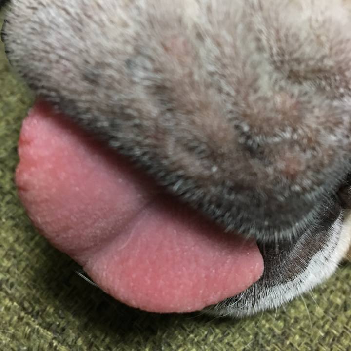 8c200ebd 3fe1 4e45 89bc dff458fa26b1