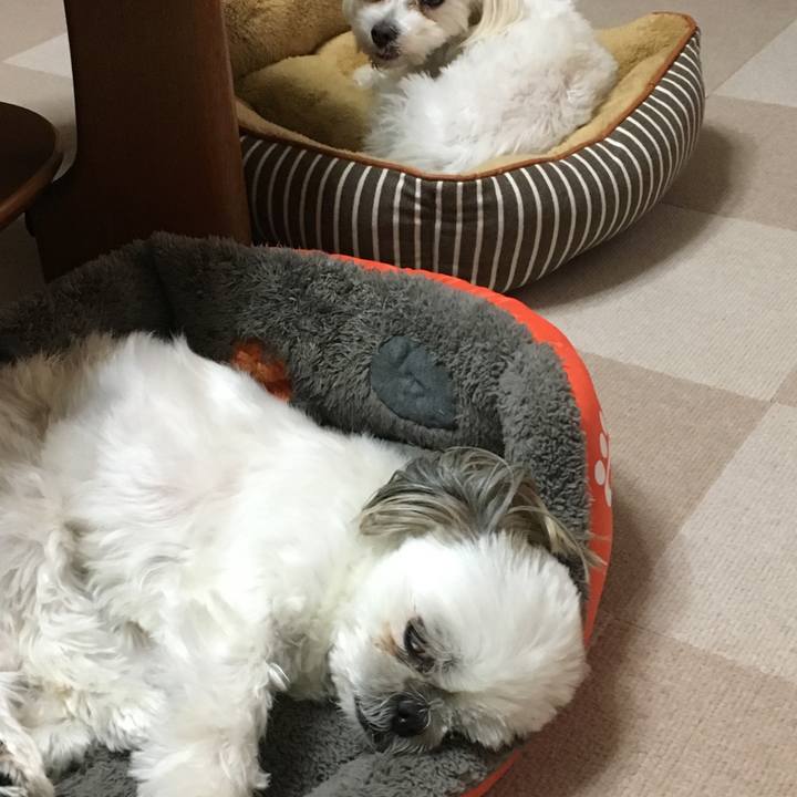 8c204aac 9aa3 4c87 9f2d e494ac6b9a64