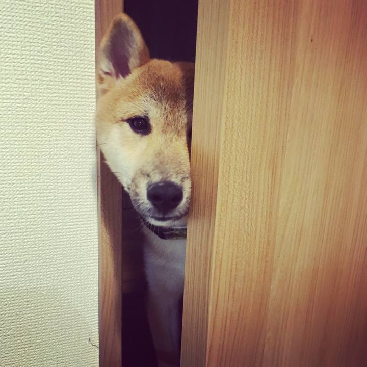 8c2079d5 1899 4475 8bbf f3bb07b2c849