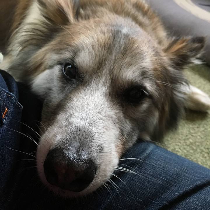 8c2082f1 cb06 4f8f 93d5 48f1718c34a5