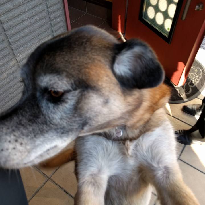 8c21a667 f0b1 434e 9c74 a4250a326f2c