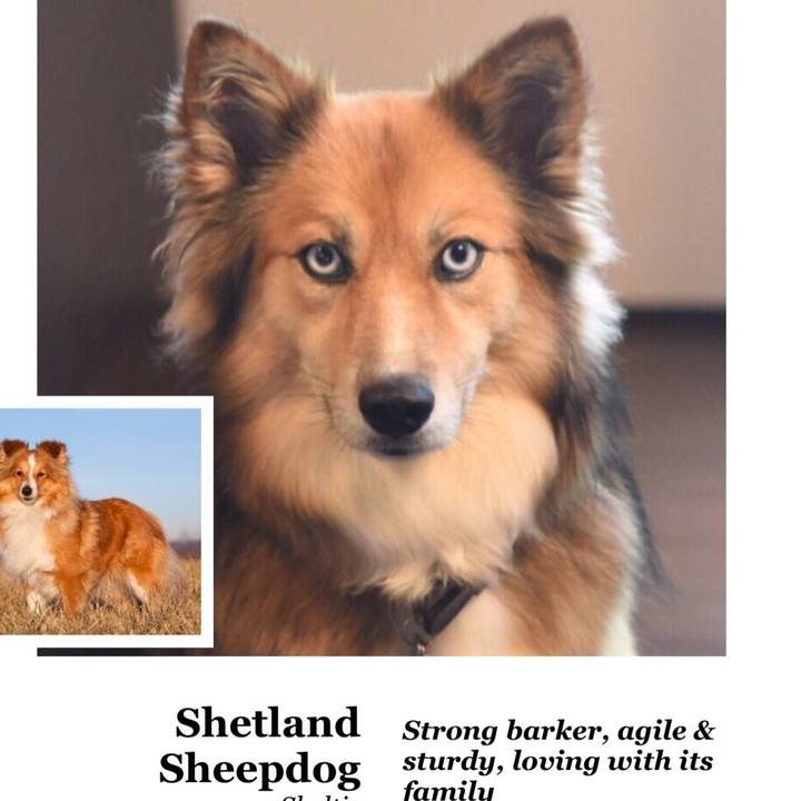 8c238aae b095 4ce7 877e 8c4688db9a36