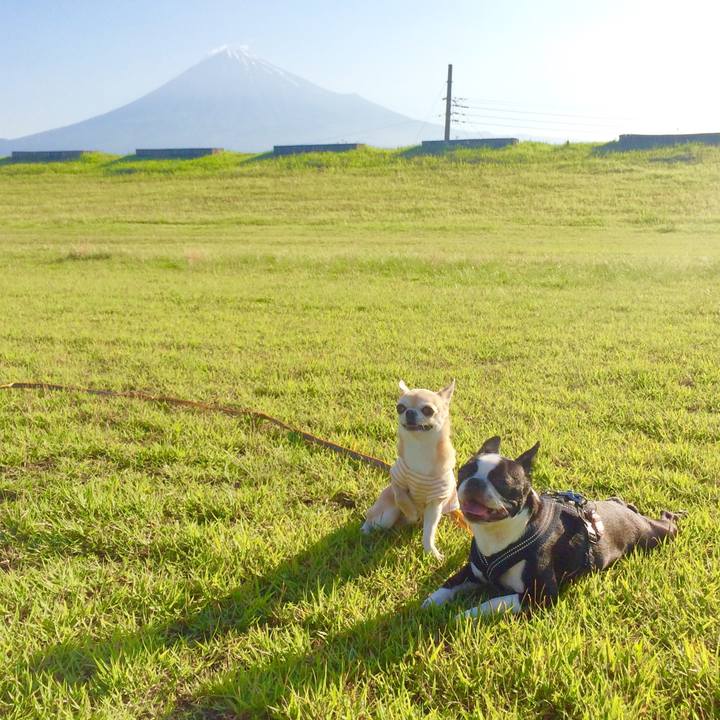 8c23a7ed a93f 483a a609 d373f7b4ae88