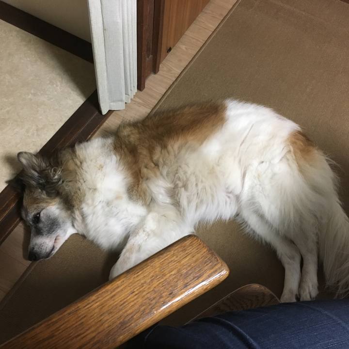 8c23b6c4 1c7b 42eb ac63 752063c1c983