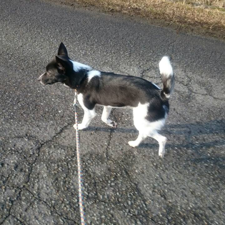 8c23c255 ec73 45b4 996d 9509da7c09df