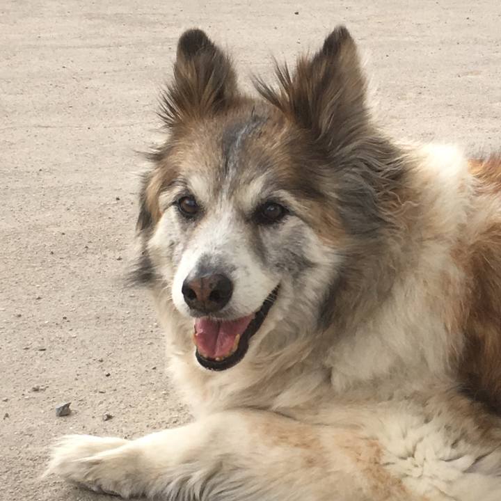 8c23dbdc ab40 4ff4 bcc5 230e3418a9dc