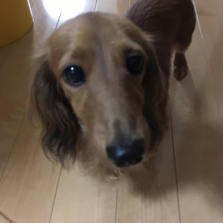 8c2422f0 aa0f 4bfd acda 95d026ce501e