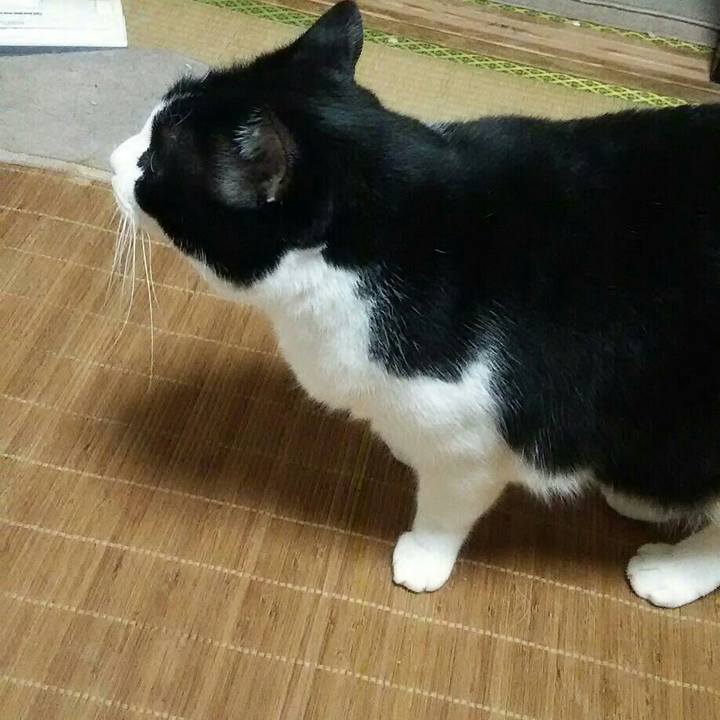 8c2542fb f20a 4057 9801 28cb727f1084