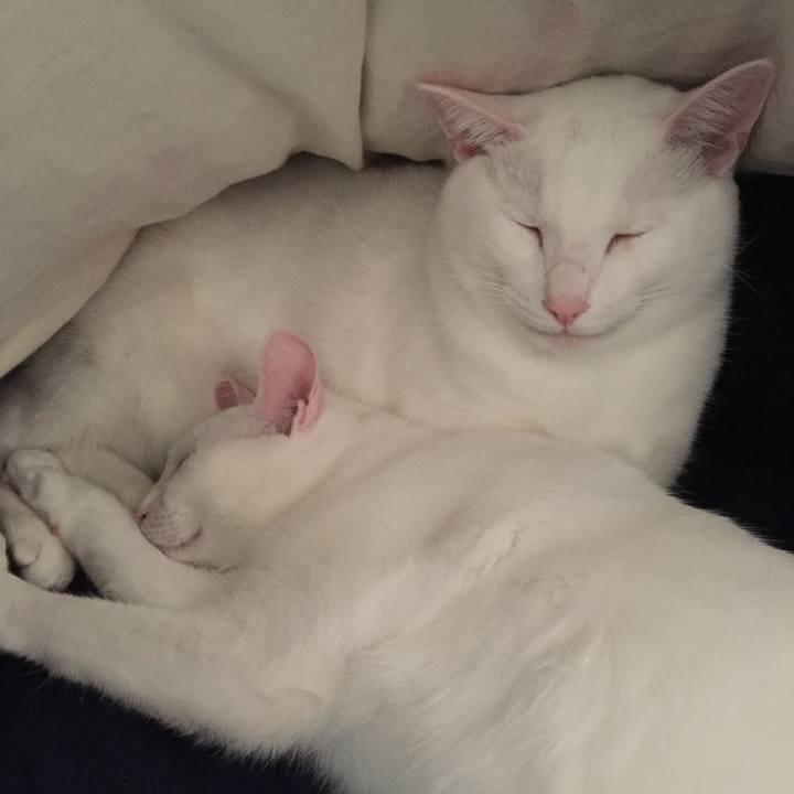 8c25d524 c9c9 4c32 925b 13ea7f57fb17