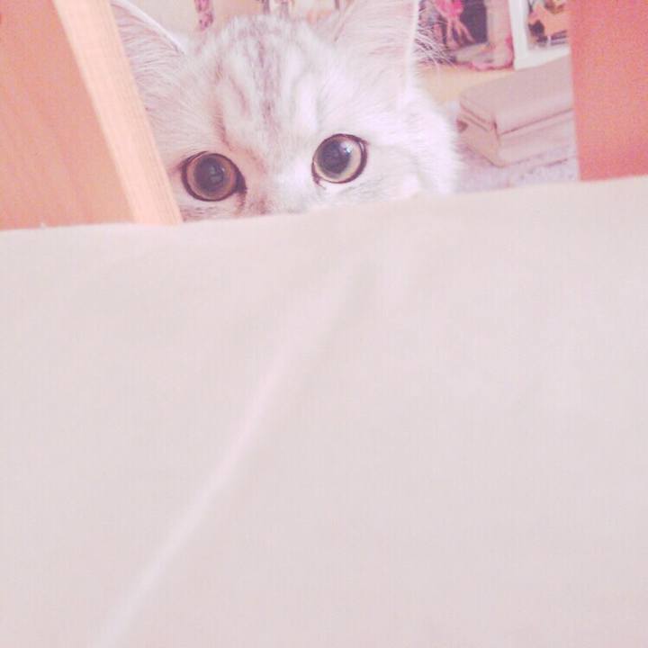 8c25e6b5 430b 42a2 8474 539b4f4efc87