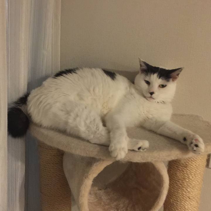 8c2646b7 bcfe 48cc 99a6 e0550397aa19