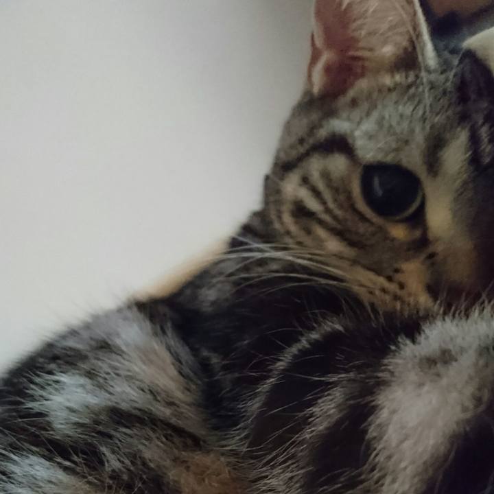 8c26951a 40bb 4dba bec7 485594338add