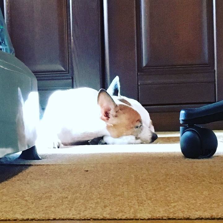 8c26e29f 9b3c 498d 8953 3d71d72a8703