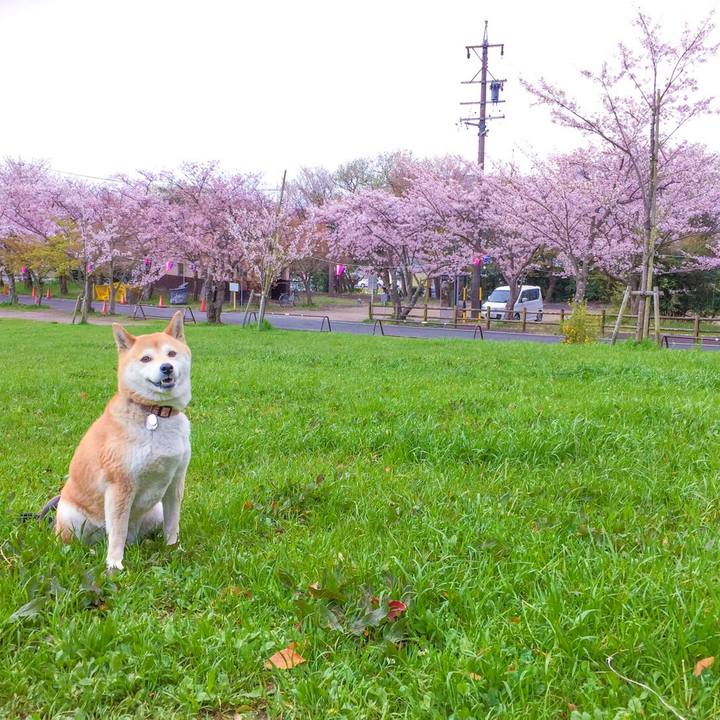 8c2738e1 e297 4fbf 8764 cc46d34b89e0