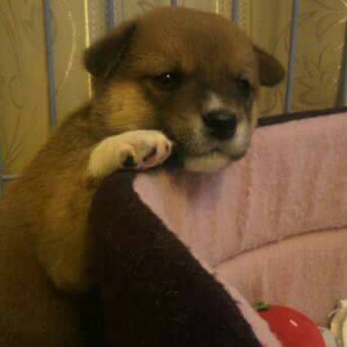 8c274140 b984 448b 8086 f90b8232a546