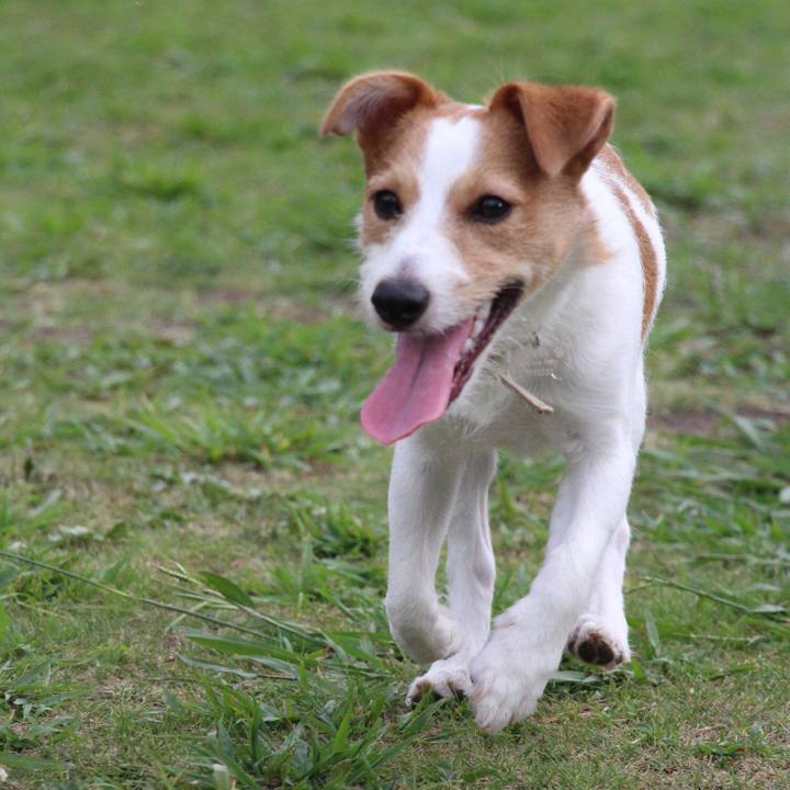 8c27e064 f5b4 4d45 b60d 9da50ab745fa