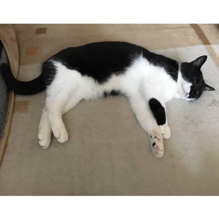 8c282115 5e4e 413a 85ef 055fef67acef