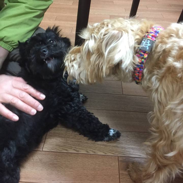 8c284bcf 7330 4115 a0af 3d1e33a5fc0e