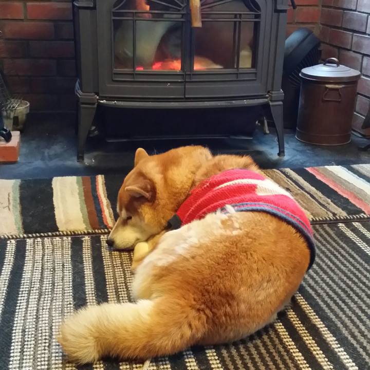 8c2898b8 9ee9 4685 9010 e03cb4465d04