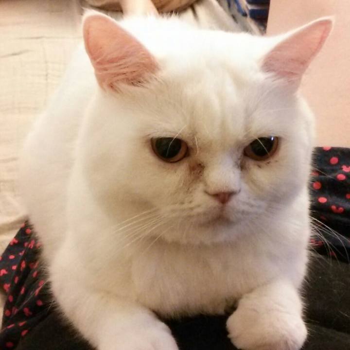 8c292e1e ed3c 4f53 80fb 639e1ed11cbe