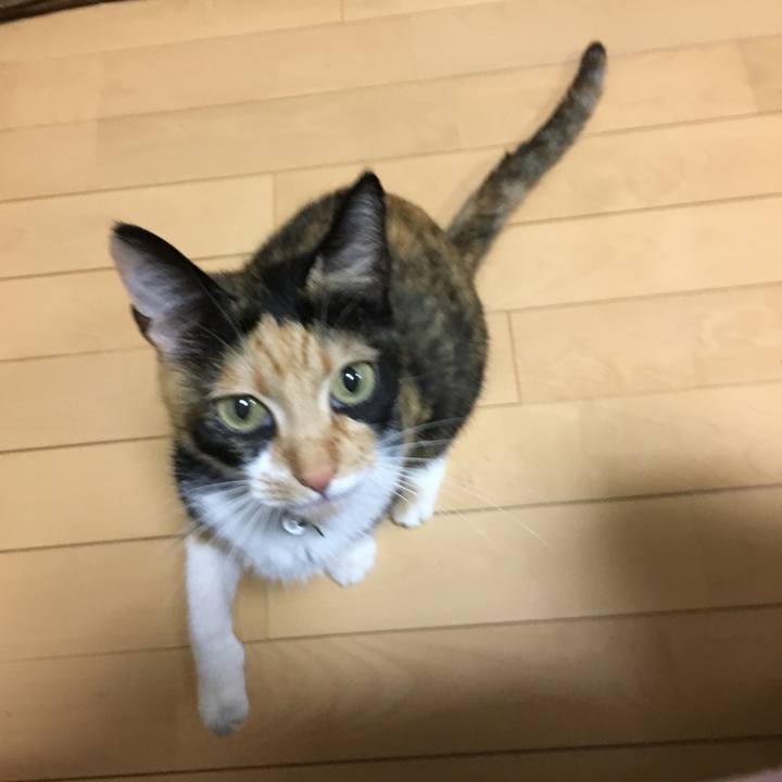 8c297d06 cfa8 4e94 be96 aa8ce2c7b941