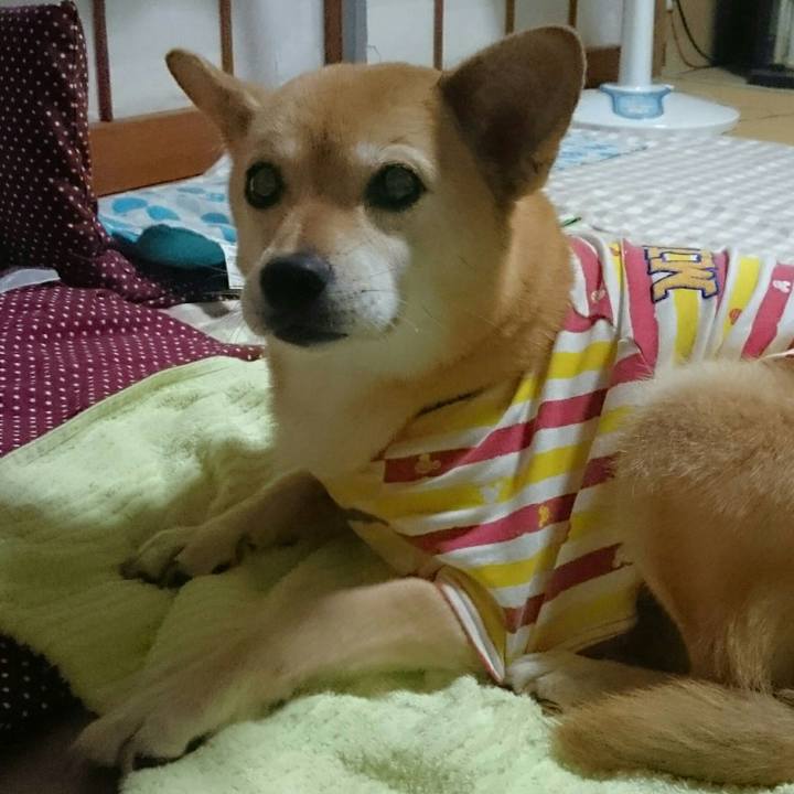 8c29852d 165d 4c77 8ff4 dae3f881e189