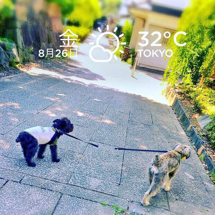 8c299140 325f 4b58 b0e0 56fccd2744e5