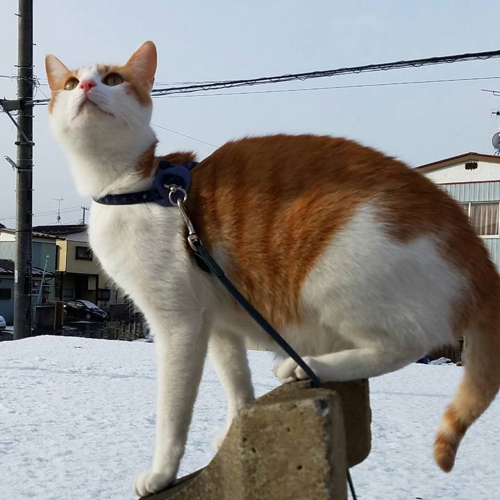 8c29cd51 b753 4f25 9120 4e33c3449335