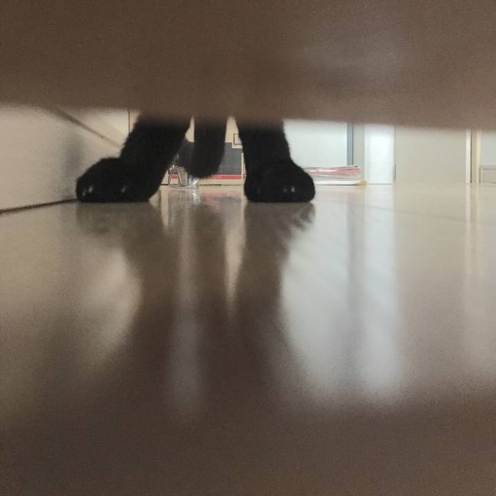 8c29df6c 435d 4e9a a8ed e104247402db