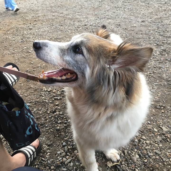 8c29fa02 555d 44d9 8404 510d466858e7