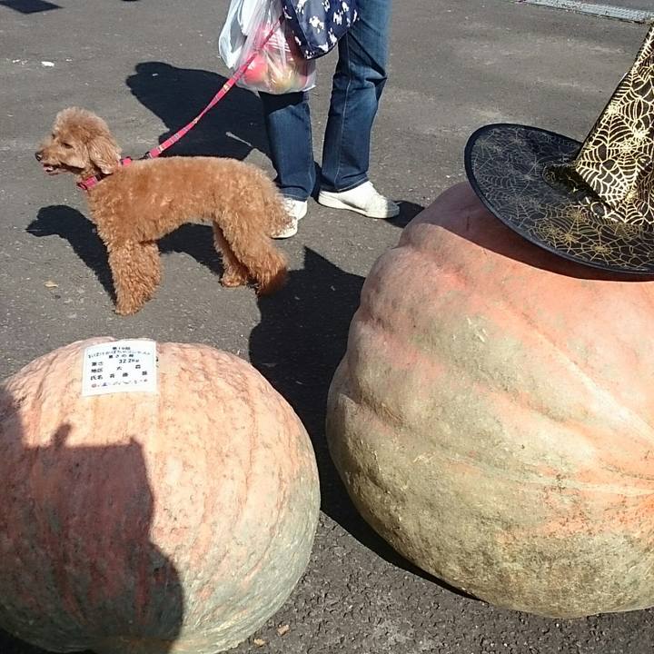 8c2a207a a3f3 4c58 bb22 2a2cc8e57386