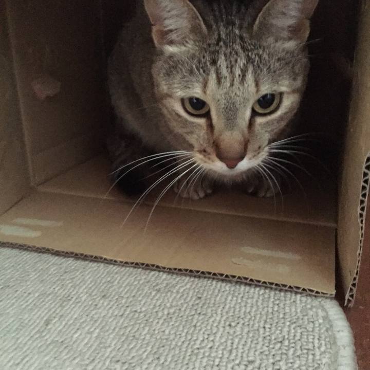 8c2a3b31 8644 44ab 9aa3 76d8423a9f3d