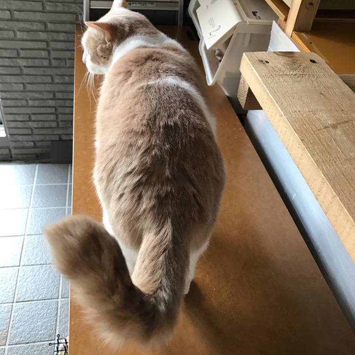 8c2a967c c475 444a 8406 fc5b958d1e62